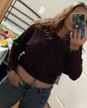 Cropped Sweater