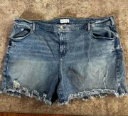 Women’s Jean Shorts Size 26. 1644