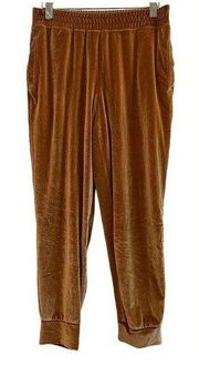 Light Honey Luxe Velour Jogger Size Medium