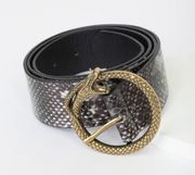 For Goodness Snake Gold and Snake Belt