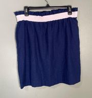 Waistband Stripe Pull On Knit Skirt Blue Medium