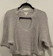 Urban Outfitters SILENCE + NOISE Grey Knit Crop Top Sweater