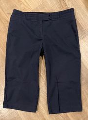 Navy Capris 