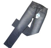 NWT Adriano Goldschmied AG Mari in Timeless Gray Slim Straight Jeans 25