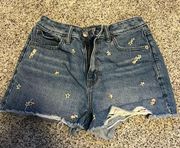 American Eagle Outfitters Short