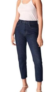 Aritzia Denim Forum Yoko High Rise Slim 26L Jeans