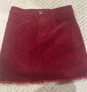 Velvet Tight Fit Skirt