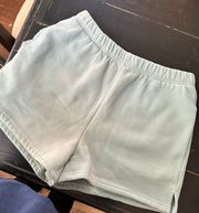 Mint Sweat Shorts