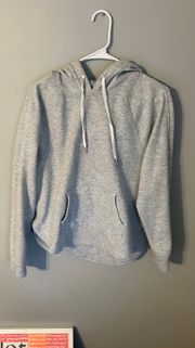 Heathered Gray Hoodie