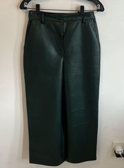 Aritzia Babaton Coney Green Faux Leather Pants