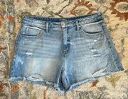 Time and Tru High Rise Denim Shorts 12