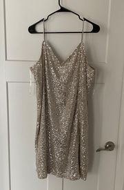 Sequin Dress