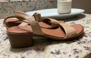 Brown Ankle Sandals 