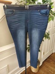 Terra & Sky Womens Blue Denim Cotton Mid Rise Comfort Waist Skinny Jeans Pant 4X