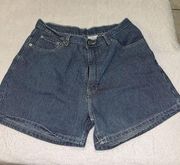 Vintage 90s Jordache Jean Shorts Size 15/16 Blue Striped Denim runs small