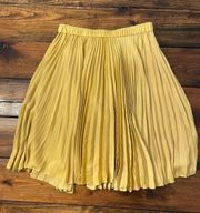 Pleated Skirt