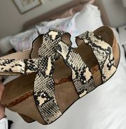 Snakeskin Wedges