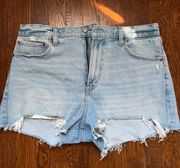 Abercrombie and Finch Mom shorts - 31 (12)