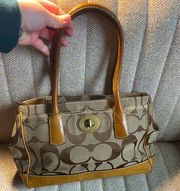 Brown  Medium sized Handbag
