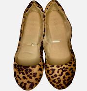 Leopard Flats. Size 10W