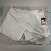 North Face Gray Wander Shorts