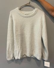 Ellen Tracy Light Blue Soft Fuzzy Sweater