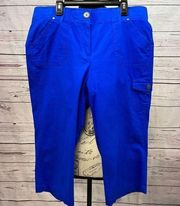 A244-Counterparts size 10 stretchy waist blue pants