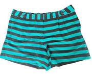 Ann Taylor Loft Blue Striped Shorts Size 8