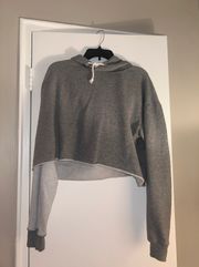 Gray Cropped Sweatshirt