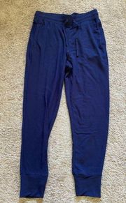 Fabletics women’s small blue athletic pants