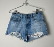 Rusty Jean Shorts