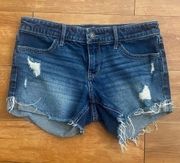 Hollister  Low-Rise Midi Short Vintage Stretch sz 27