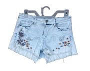 Hippie Laundry Denim Shorts, Low Rise, Embroidered, Waist 27in.