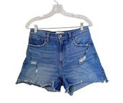 Abercrombie & Fitch Curve Love Shorts, Size 8/29