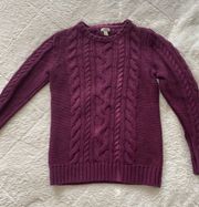 L.L Bean Knitted Sweater 