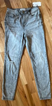 Alisia Mid Rise Distressed Grey Skinny Jeans