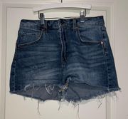 Wild Fable Jean Shorts