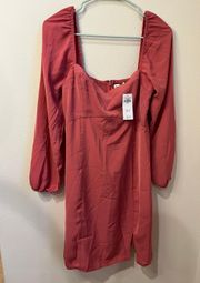 NWT  Long Sleeve Corset Seamed Mini Dress - Pink