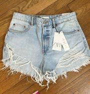 High Rise Ripped  Jean Shorts