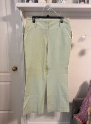 NWT New York & Company Green and White Stripe Pants