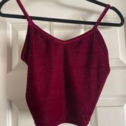 Maroon Velvet Crop Top