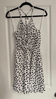 NWT  Black And White Leopard Print Mini Dress