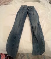 Revice Denim Skinny Jeans