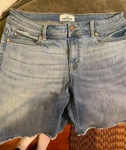 Jordache Jean shorts