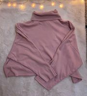 American Eagle Outfitters Cropped Turtleneck