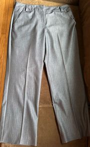 Gray Silver Wide Straight Leg Business attire With Pockets SZ 14