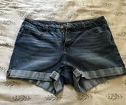 Stretchy Jean Shorts