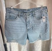 High Waisted Shorts