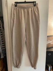 Whitney Simmons  Beige Joggers