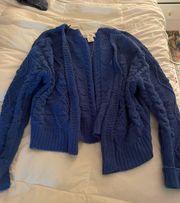 Blue Cardigan